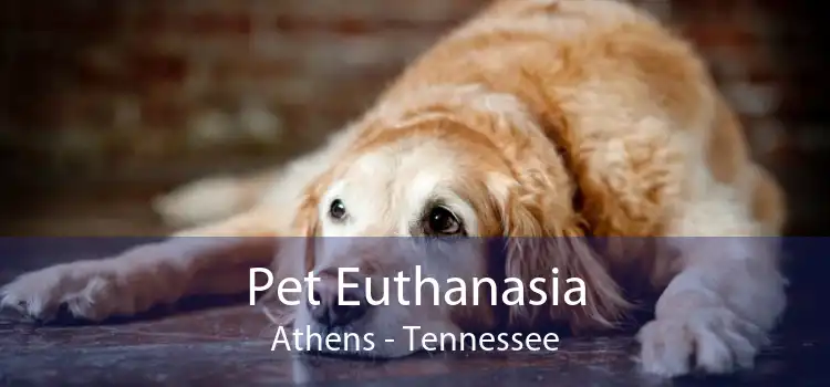 Pet Euthanasia Athens - Tennessee