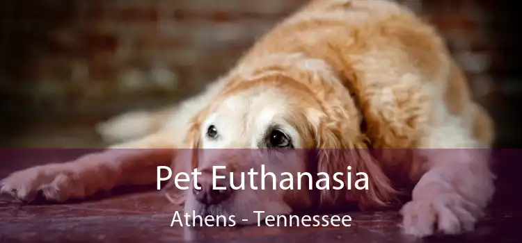 Pet Euthanasia Athens - Tennessee