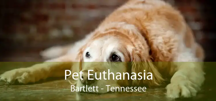 Pet Euthanasia Bartlett - Tennessee