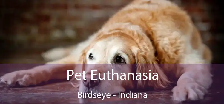 Pet Euthanasia Birdseye - Indiana