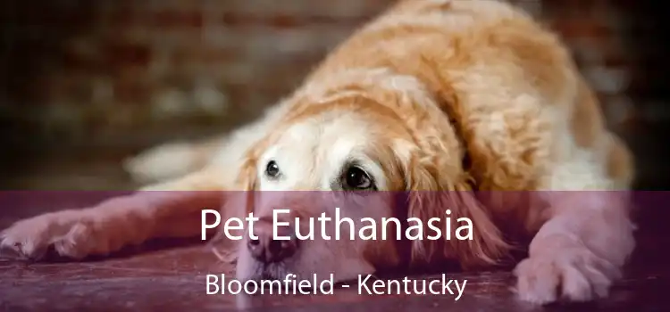 Pet Euthanasia Bloomfield - Kentucky