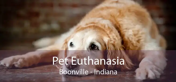 Pet Euthanasia Boonville - Indiana