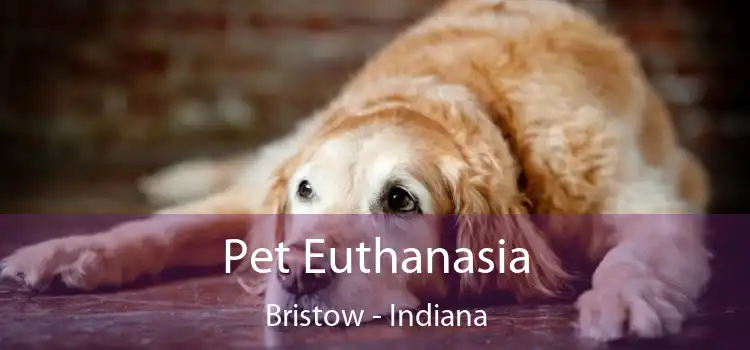 Pet Euthanasia Bristow - Indiana