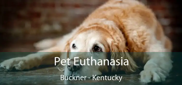 Pet Euthanasia Buckner - Kentucky