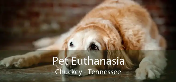 Pet Euthanasia Chuckey - Tennessee
