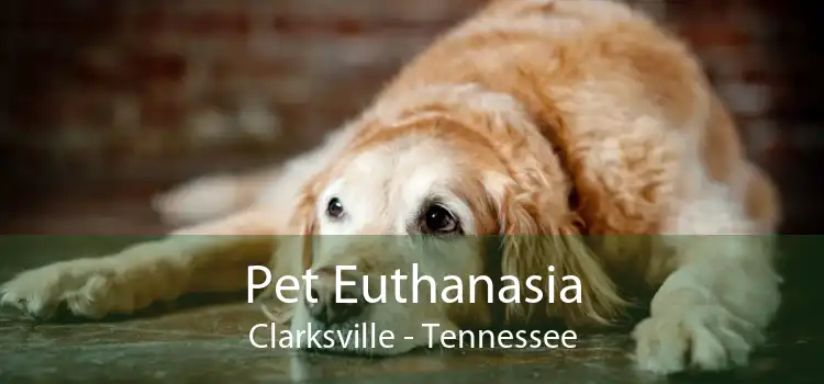 Pet Euthanasia Clarksville - Tennessee