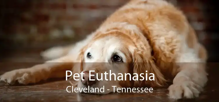 Pet Euthanasia Cleveland - Tennessee