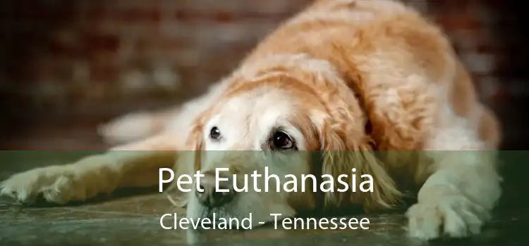 Pet Euthanasia Cleveland - Tennessee