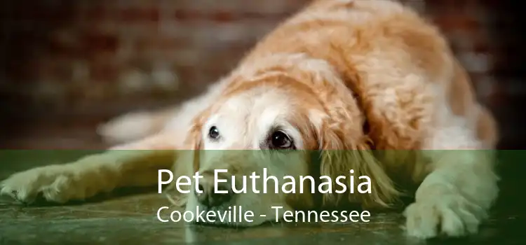 Pet Euthanasia Cookeville - Tennessee