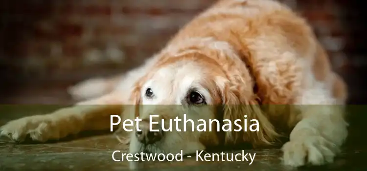 Pet Euthanasia Crestwood - Kentucky