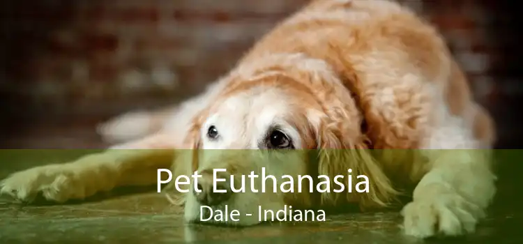 Pet Euthanasia Dale - Indiana