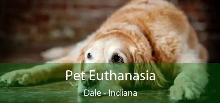 Pet Euthanasia Dale - Indiana
