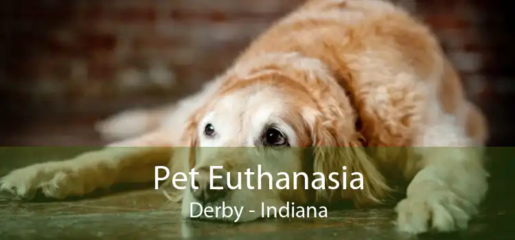 Pet Euthanasia Derby - Indiana
