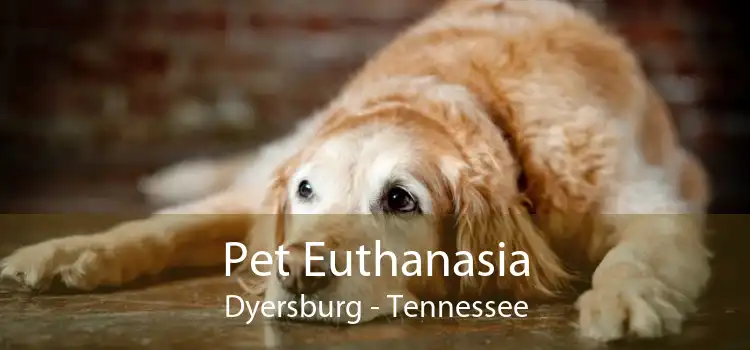 Pet Euthanasia Dyersburg - Tennessee