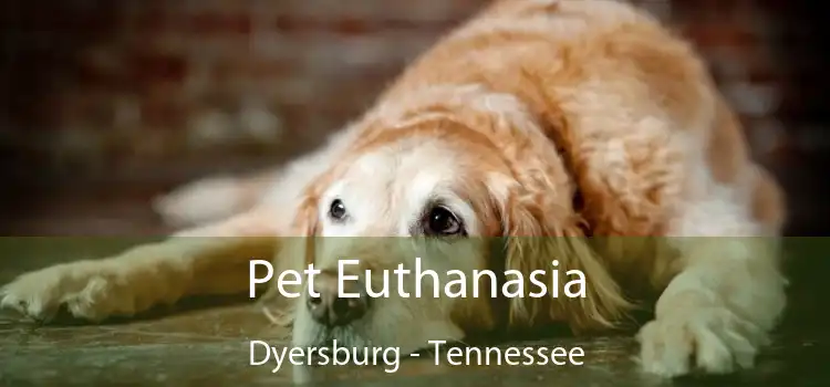 Pet Euthanasia Dyersburg - Tennessee