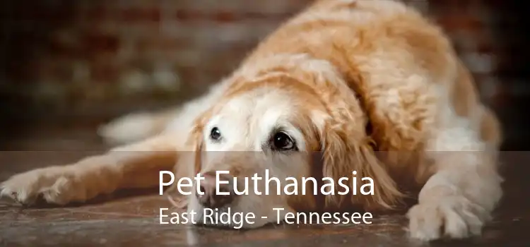Pet Euthanasia East Ridge - Tennessee