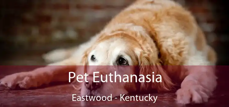 Pet Euthanasia Eastwood - Kentucky