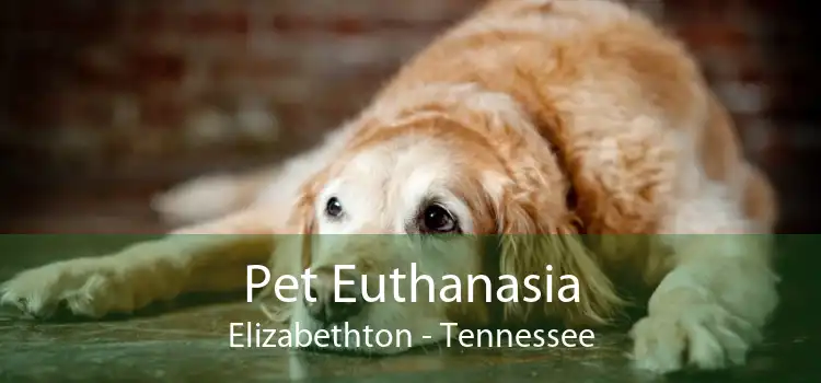 Pet Euthanasia Elizabethton - Tennessee