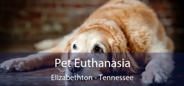 Pet Euthanasia Elizabethton - Tennessee