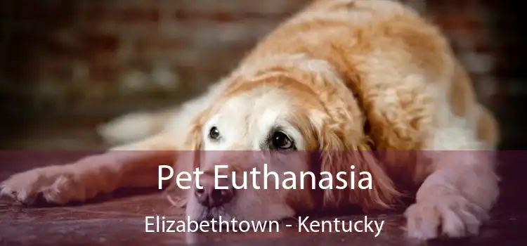 Pet Euthanasia Elizabethtown - Kentucky