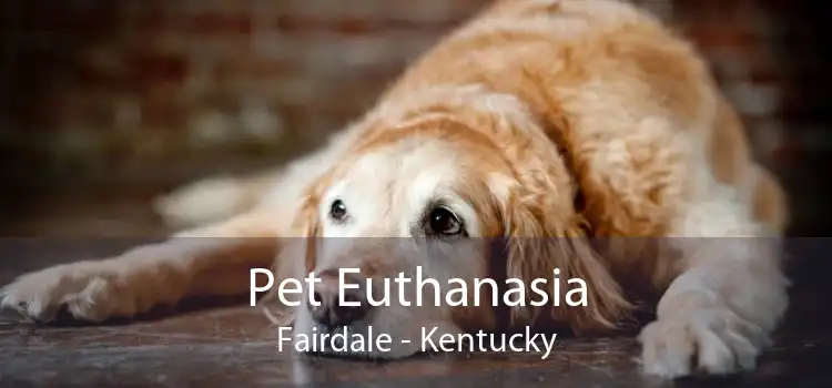 Pet Euthanasia Fairdale - Kentucky