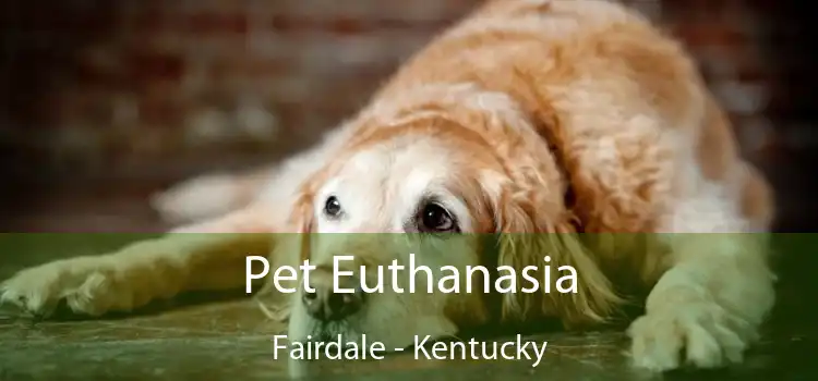 Pet Euthanasia Fairdale - Kentucky