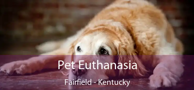 Pet Euthanasia Fairfield - Kentucky