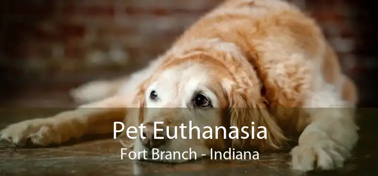 Pet Euthanasia Fort Branch - Indiana