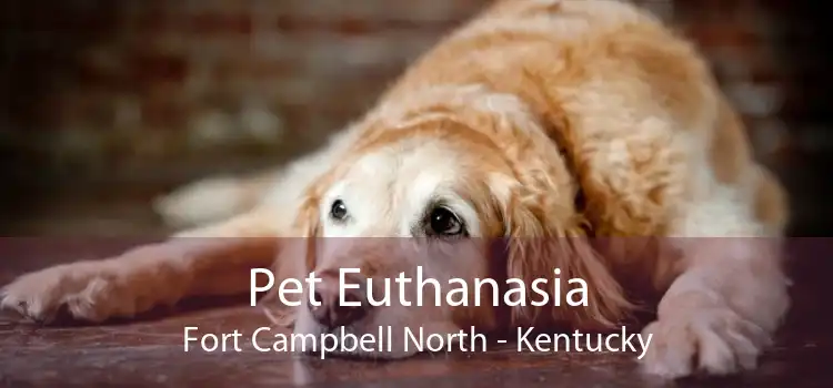 Pet Euthanasia Fort Campbell North - Kentucky