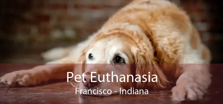 Pet Euthanasia Francisco - Indiana