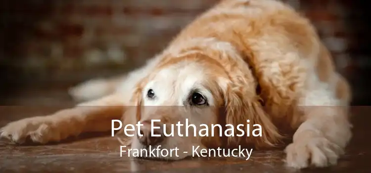 Pet Euthanasia Frankfort - Kentucky