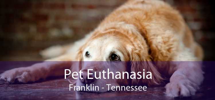 Pet Euthanasia Franklin - Tennessee