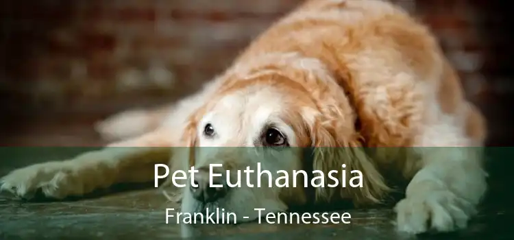 Pet Euthanasia Franklin - Tennessee