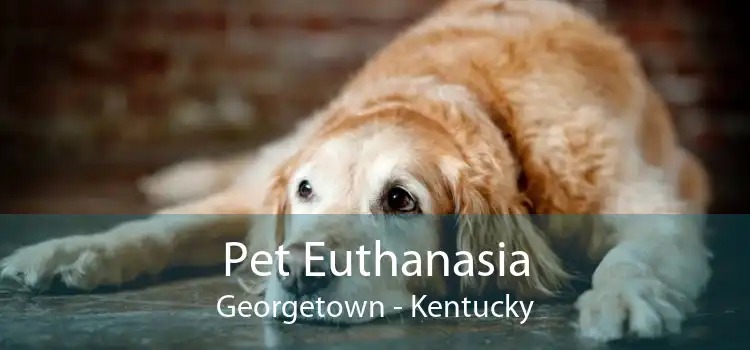 Pet Euthanasia Georgetown - Kentucky