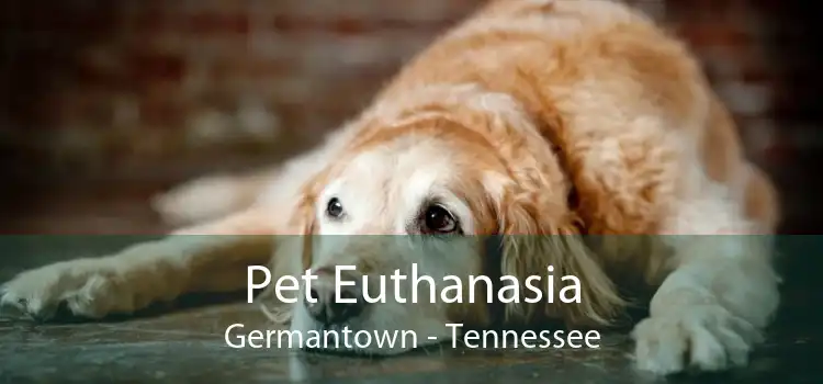 Pet Euthanasia Germantown - Tennessee