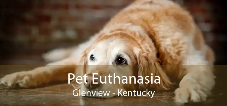Pet Euthanasia Glenview - Kentucky