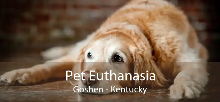 Pet Euthanasia Goshen - Kentucky