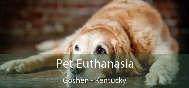 Pet Euthanasia Goshen - Kentucky