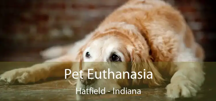 Pet Euthanasia Hatfield - Indiana