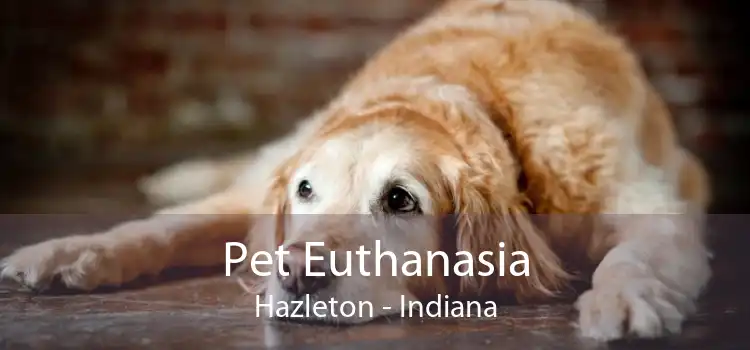 Pet Euthanasia Hazleton - Indiana