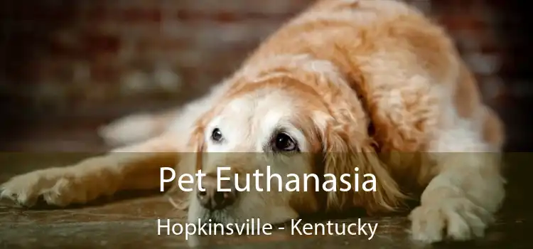 Pet Euthanasia Hopkinsville - Kentucky