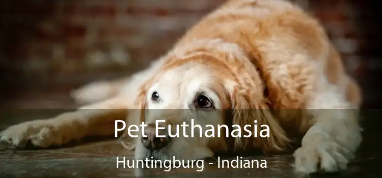 Pet Euthanasia Huntingburg - Indiana