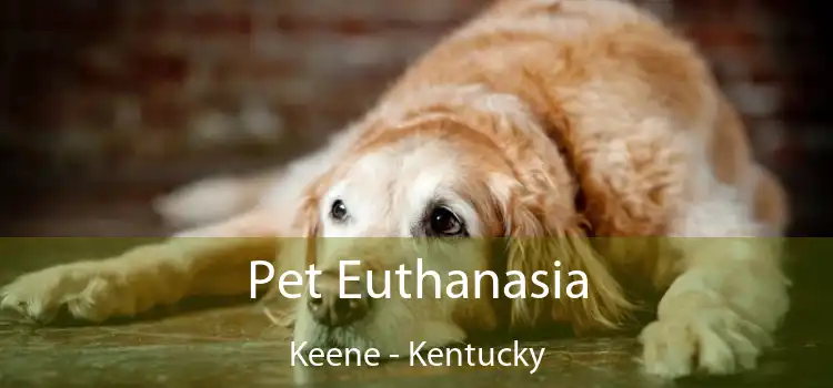 Pet Euthanasia Keene - Kentucky