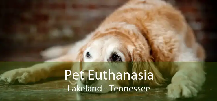 Pet Euthanasia Lakeland - Tennessee