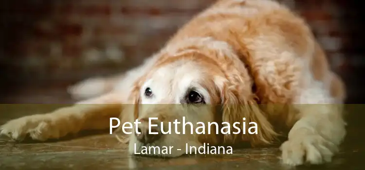 Pet Euthanasia Lamar - Indiana