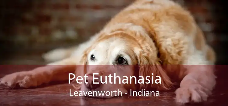 Pet Euthanasia Leavenworth - Indiana