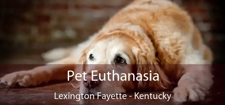 Pet Euthanasia Lexington Fayette - Kentucky