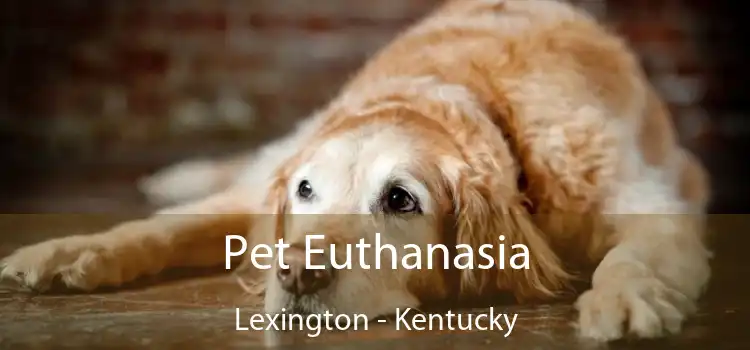 Pet Euthanasia Lexington - Kentucky