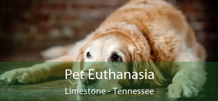 Pet Euthanasia Limestone - Tennessee