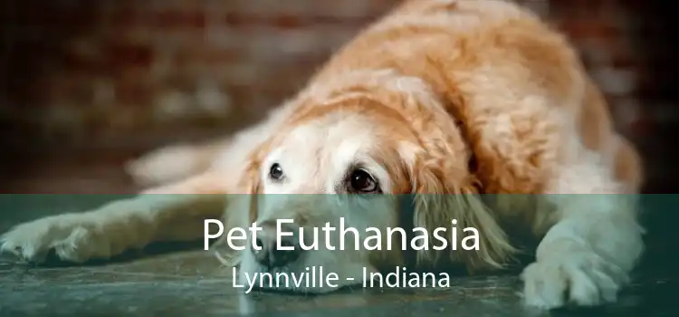 Pet Euthanasia Lynnville - Indiana